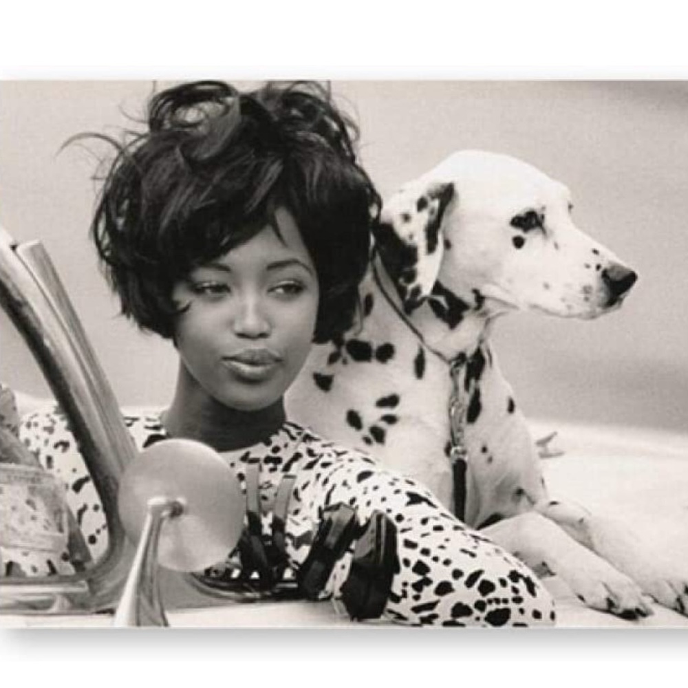 PETS